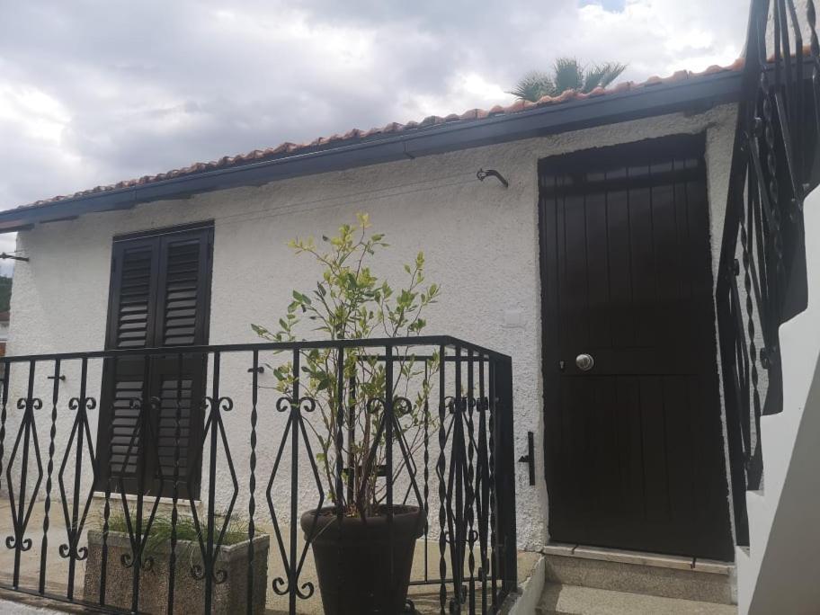 Casa Girao - Alojamento Local Termas de Sao Pedro do Sul Exteriér fotografie